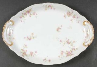 Haviland Schleiger 150 14 Oval Serving Platter, Fine China Dinnerware   Theo,Bl